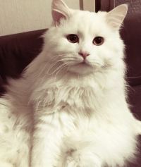 프로필이미지